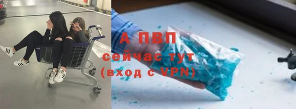 амф Зерноград