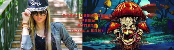 дмт Зеленокумск