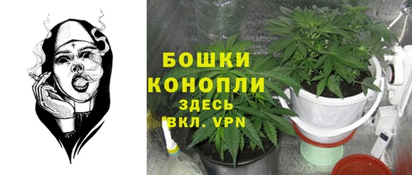 дмт Зеленокумск