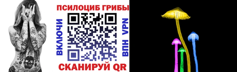 Купить где  Богородицк  Псилоцибиновые грибы прущие грибы 